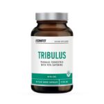 ICONFIT tribulis (ekstraktas su 95% saponinų)